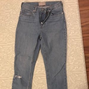 Everlane High Rise Authentic Stretch Skinny Ankle Jeans